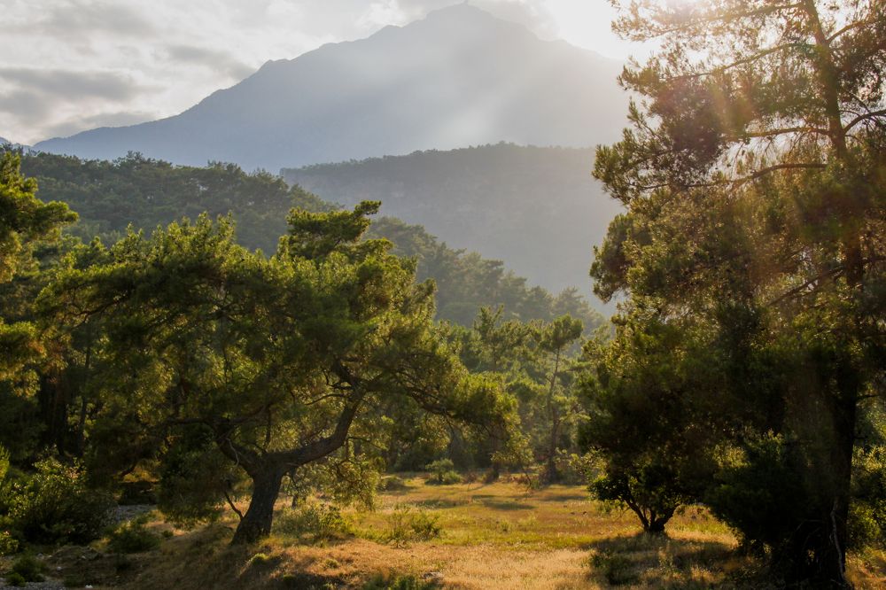 Photograph by Ксения Кондратьева