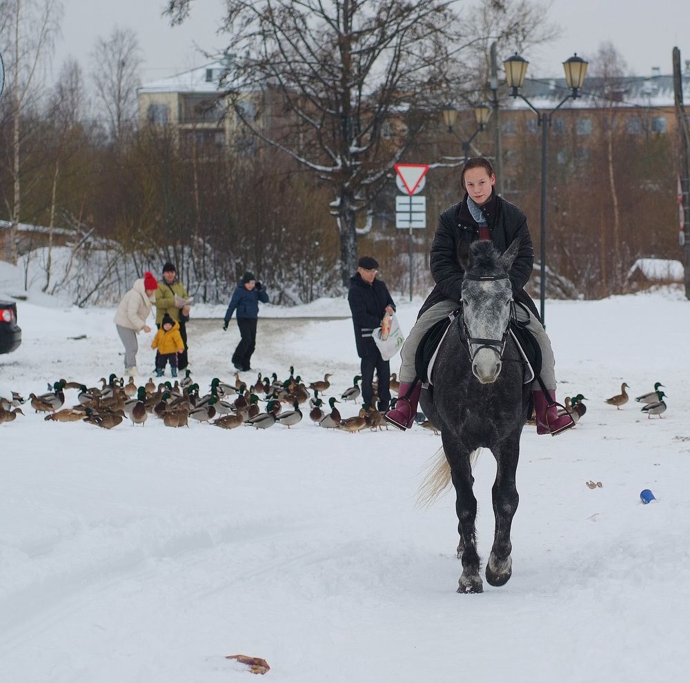 Photograph by Геннадий Тикка