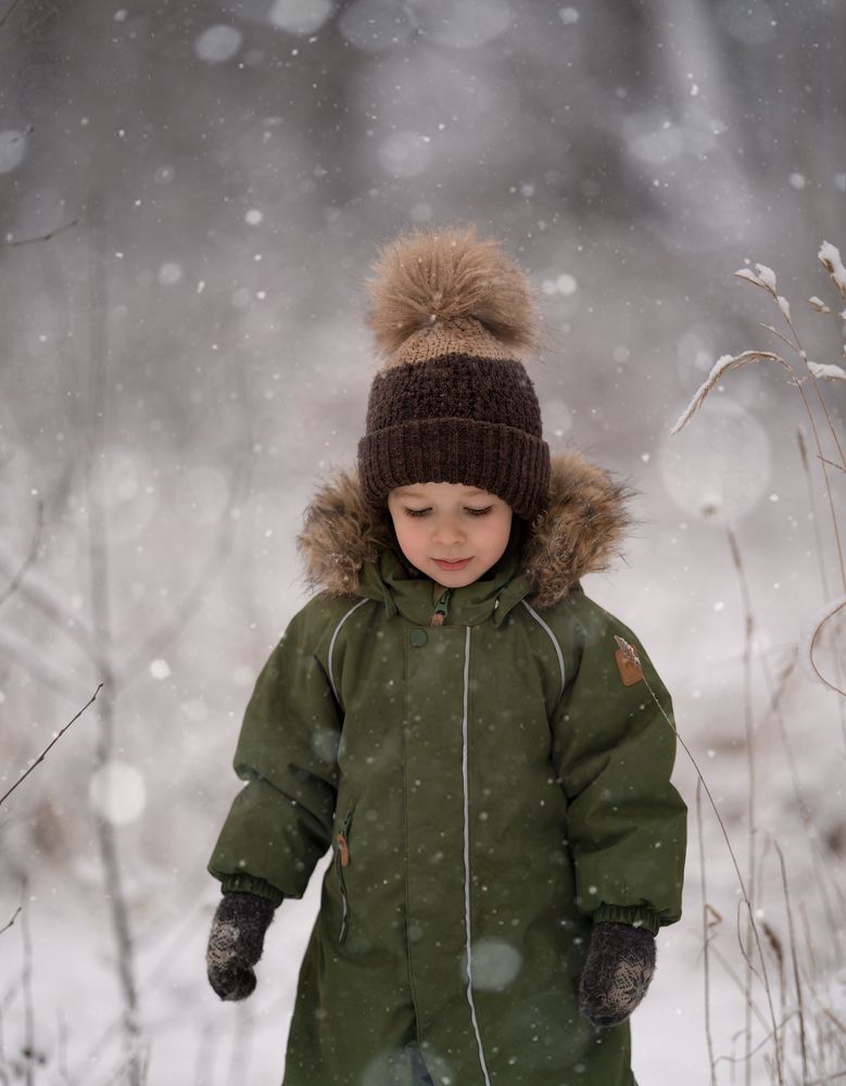 Первый снег