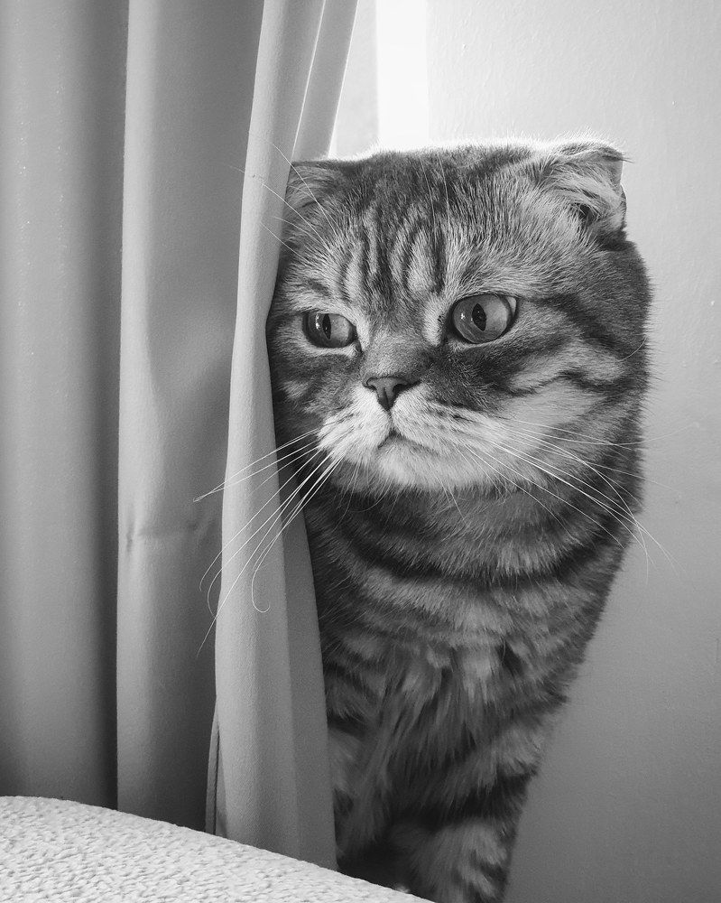 Photograph by Вадим Семенов