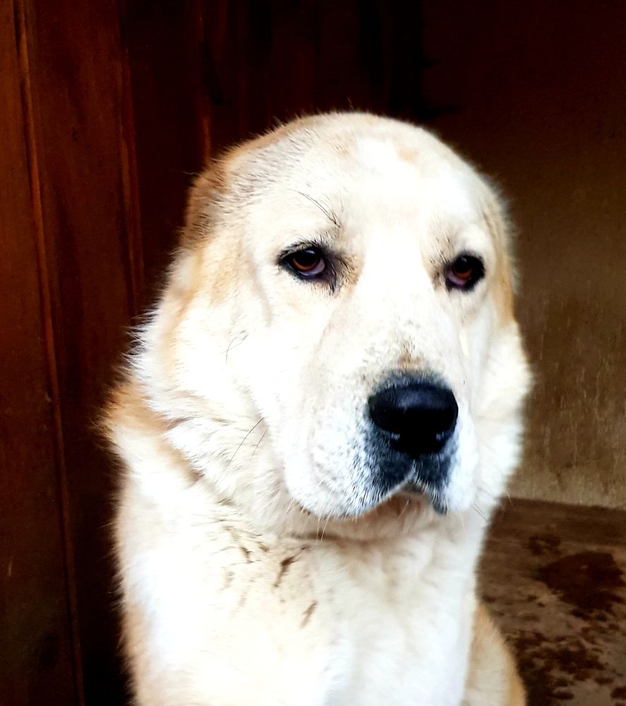 Дружеский взгляд.