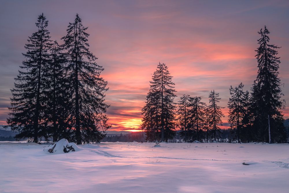 Photograph by Borviz Attila