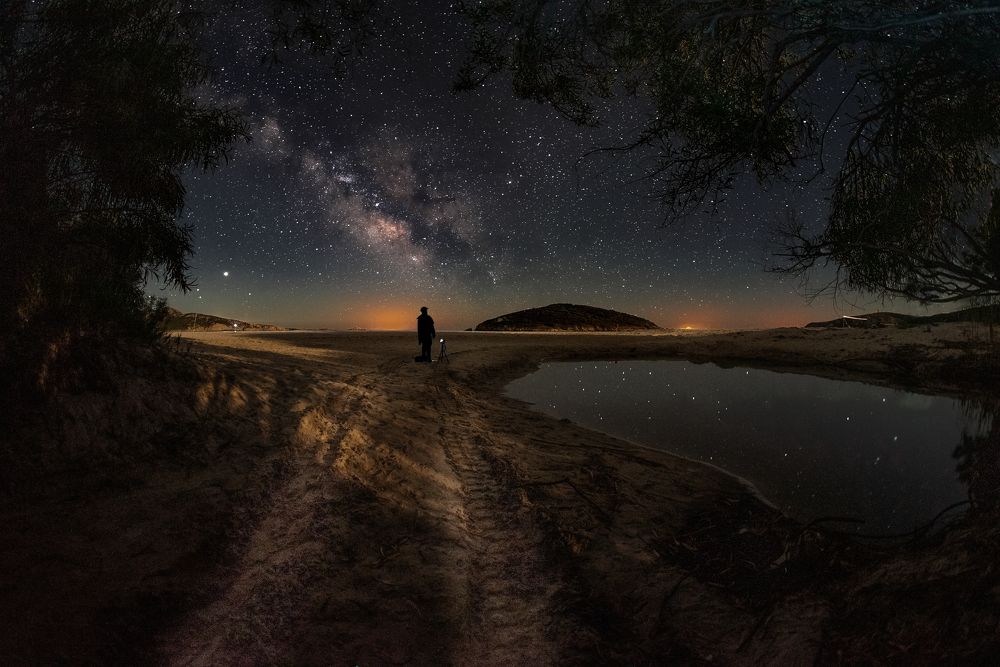 Whispers of the night