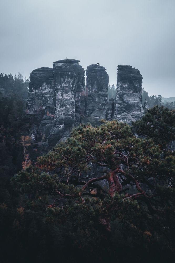 Photograph by Pascal von Winterfeld