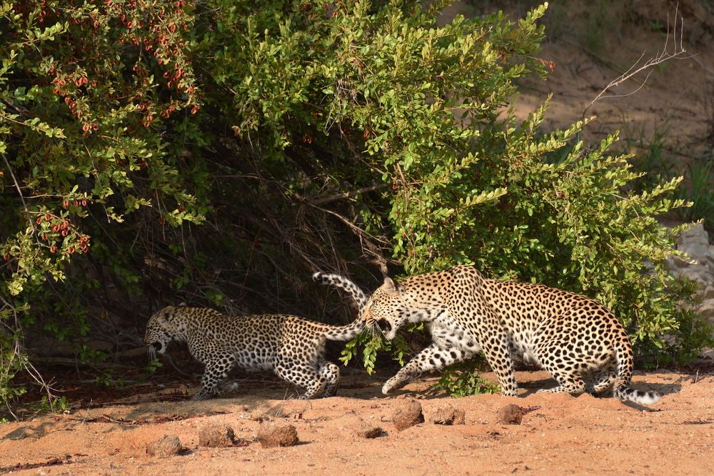 Photograph by Владимир Столяров