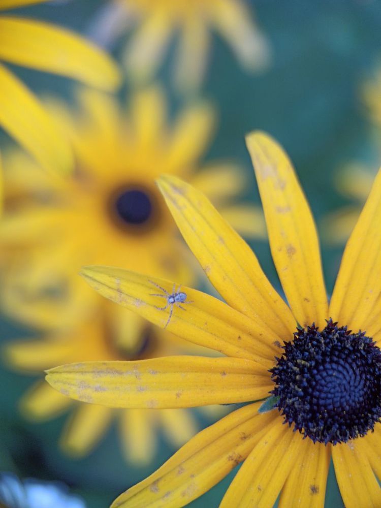 Photograph by Виктория Шереметьева