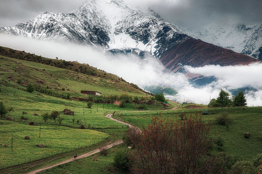 Photograph by Maksim Miroshnichenko