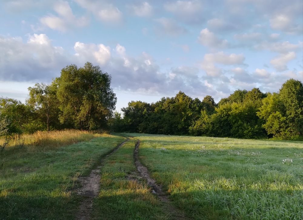 Photograph by Татьяна Пивоварчик