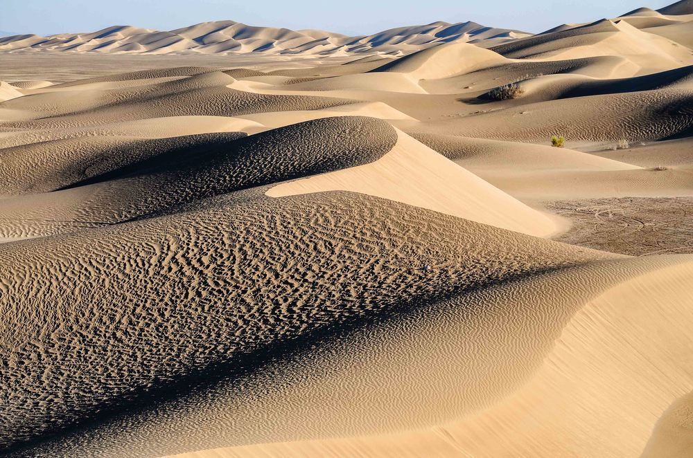 Photograph by Fatemeh(Banafsheh) Pishkhan