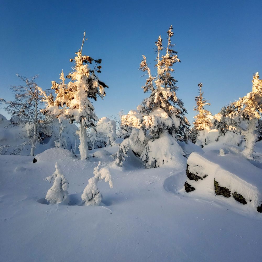 Photograph by Kolkutina