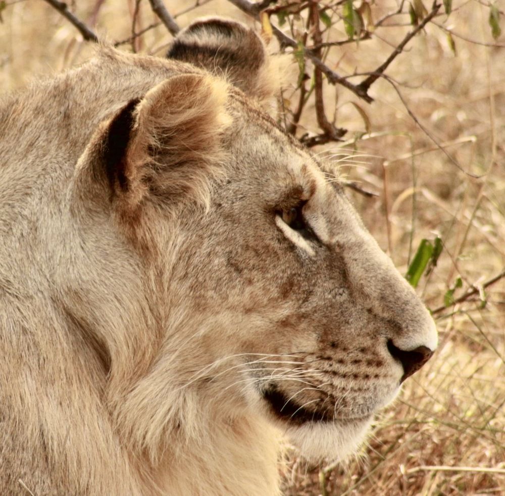 Photograph by Ahmet Aka