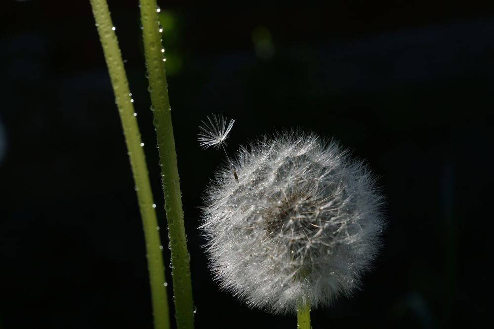 Большое в малом