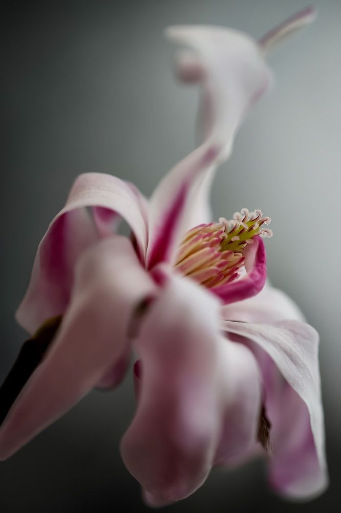 Photograph by Татьяна Кытина