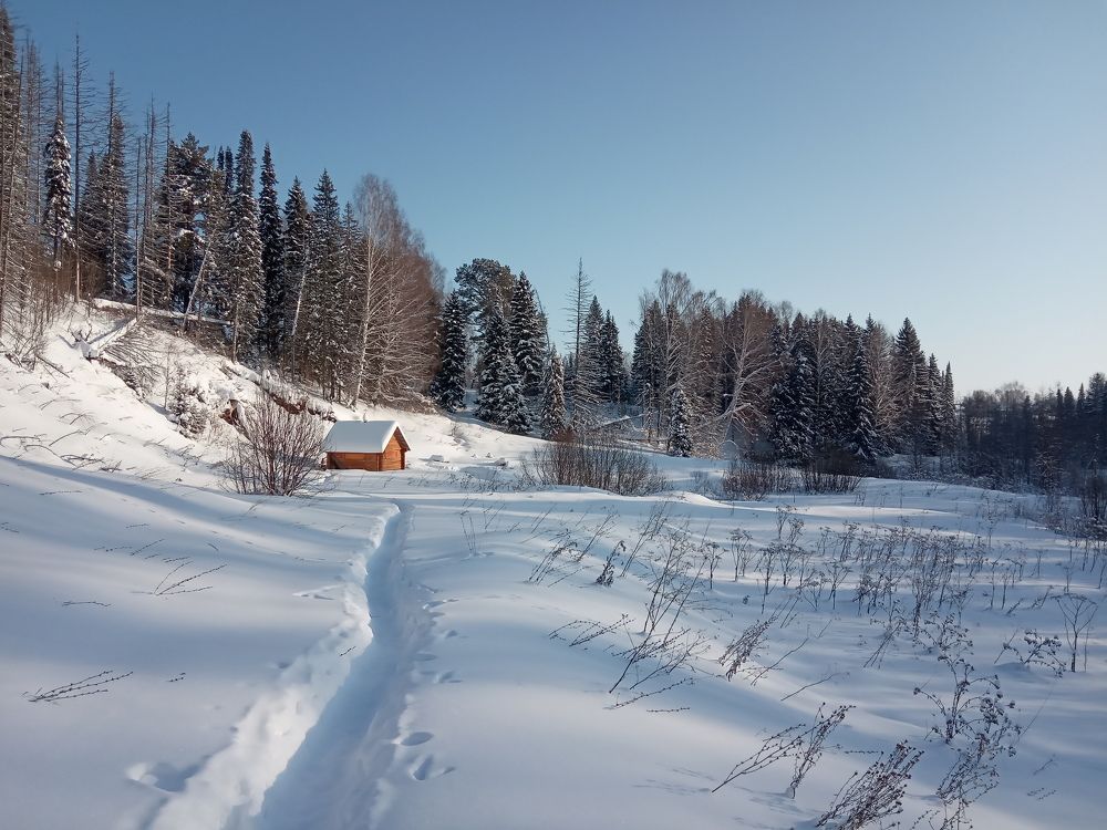 Photo #5798426