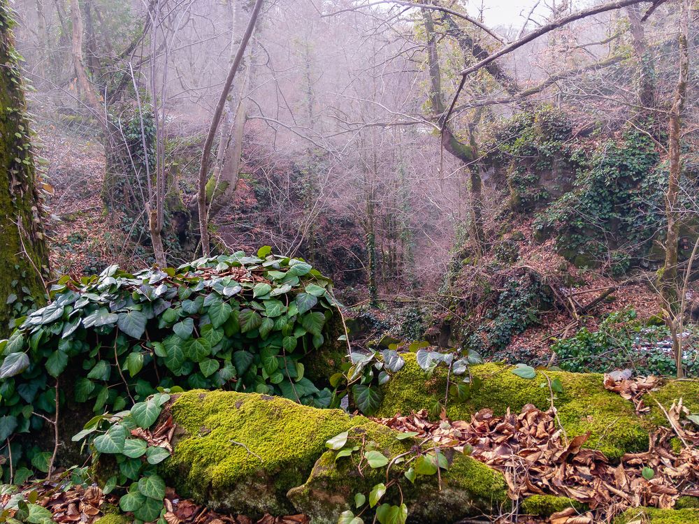 Photograph by Виталий Шкадинов