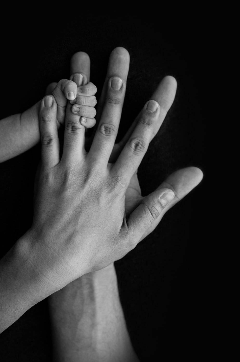 Фотография #5798606