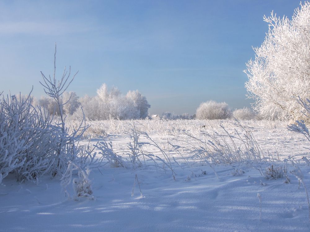 Photograph by Юля Стриж