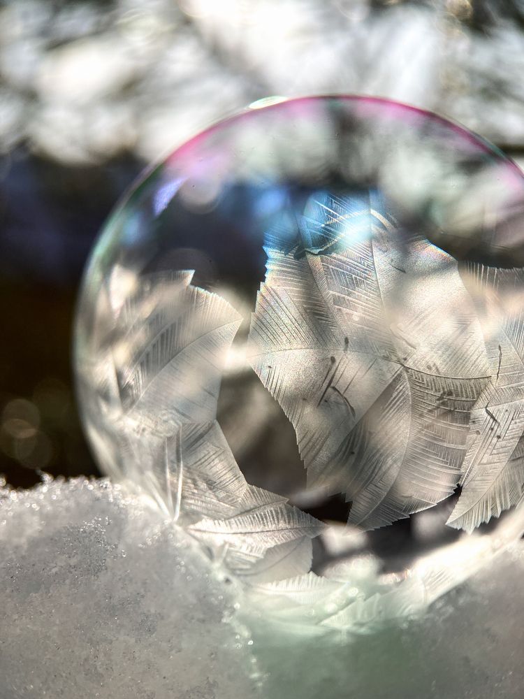 Photograph by Любовь Тернова