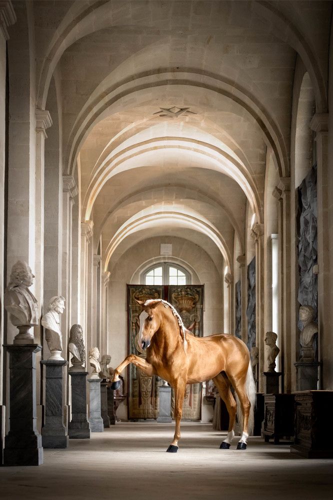 Photograph by Katarzyna Okrzesik-Mikołajek