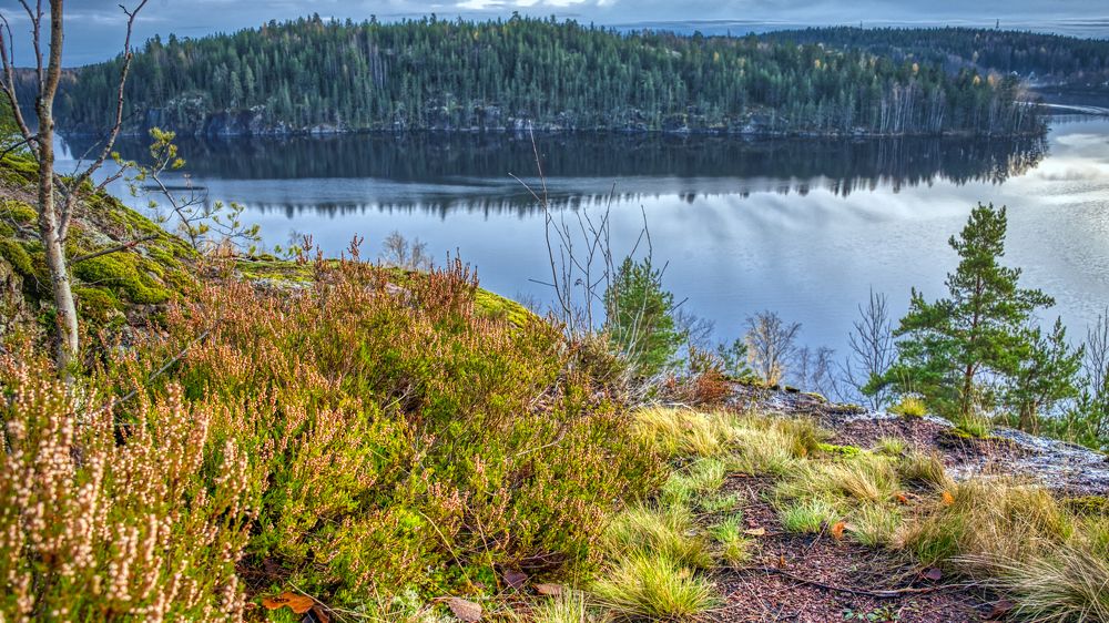 Photograph by Сергей Малеев