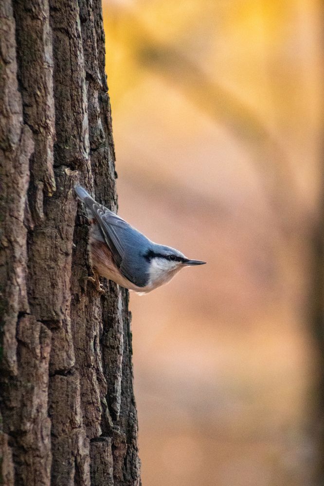 Photograph by Дамир Давронов