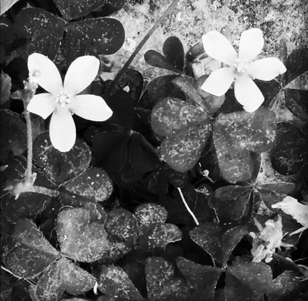 Photograph by Vesna Petkoska