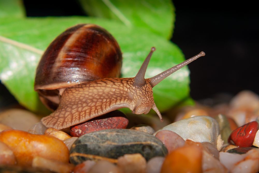 Photograph by Ариадна Подмогильная