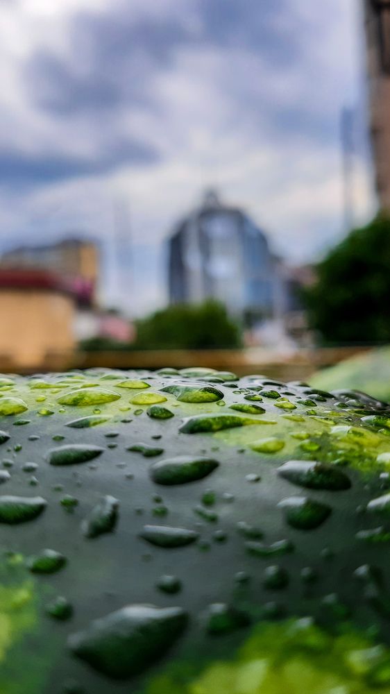 Photograph by Дамир Давронов