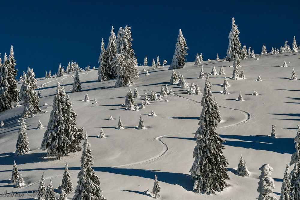 Photograph by Adrian Vladila