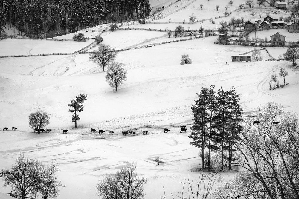 Photograph by Petya Lazarova