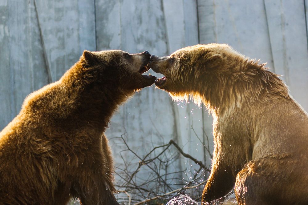 Photograph by Александр Варченко