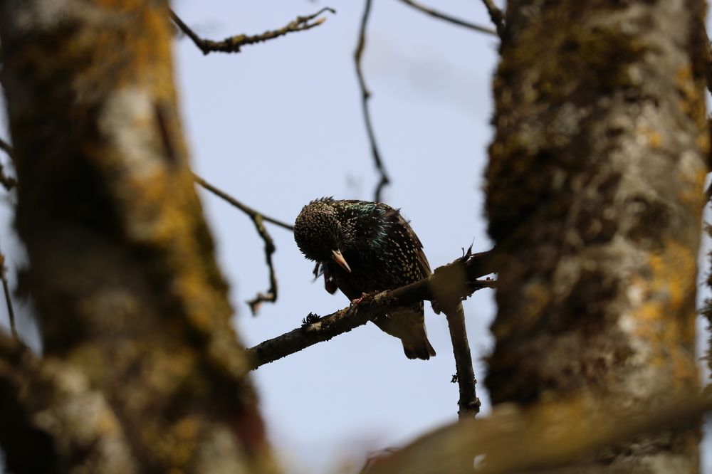 Photograph by Евгений Пакулов