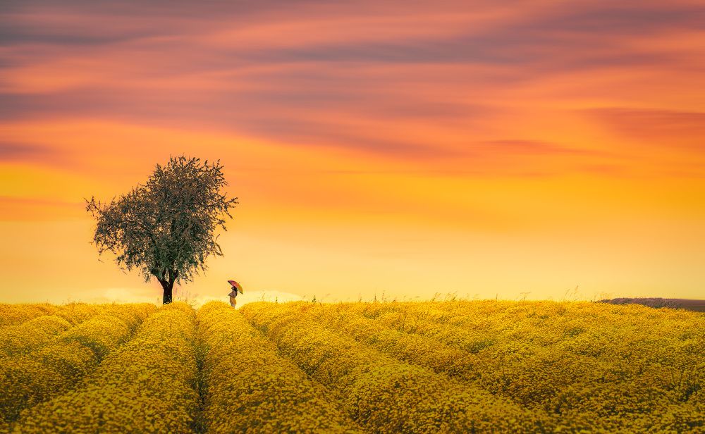 Фотография автора Alexis Kapsomenos