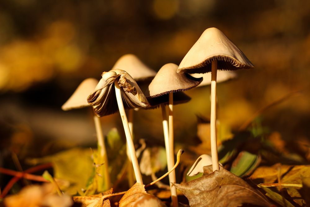 Photograph by Александр Варченко