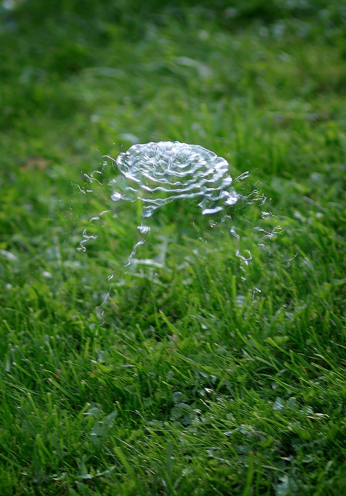 Photograph by Надежда Ячменева