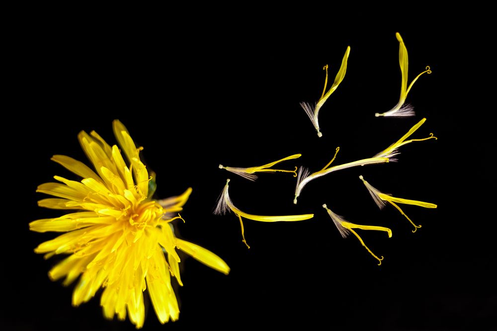 Фотография автора Дмитрий Гусалов