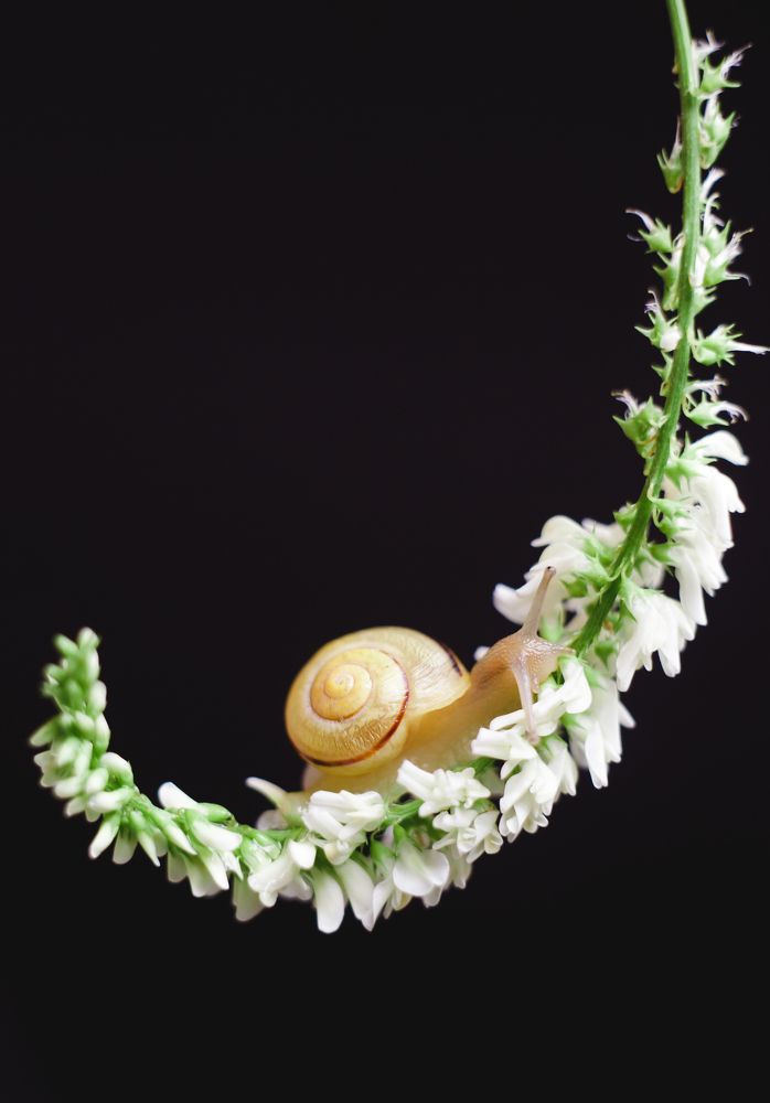 Фотография автора Дмитрий Гусалов