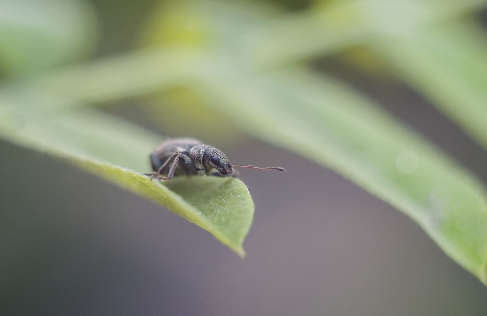 Фотография автора Дмитрий Гусалов