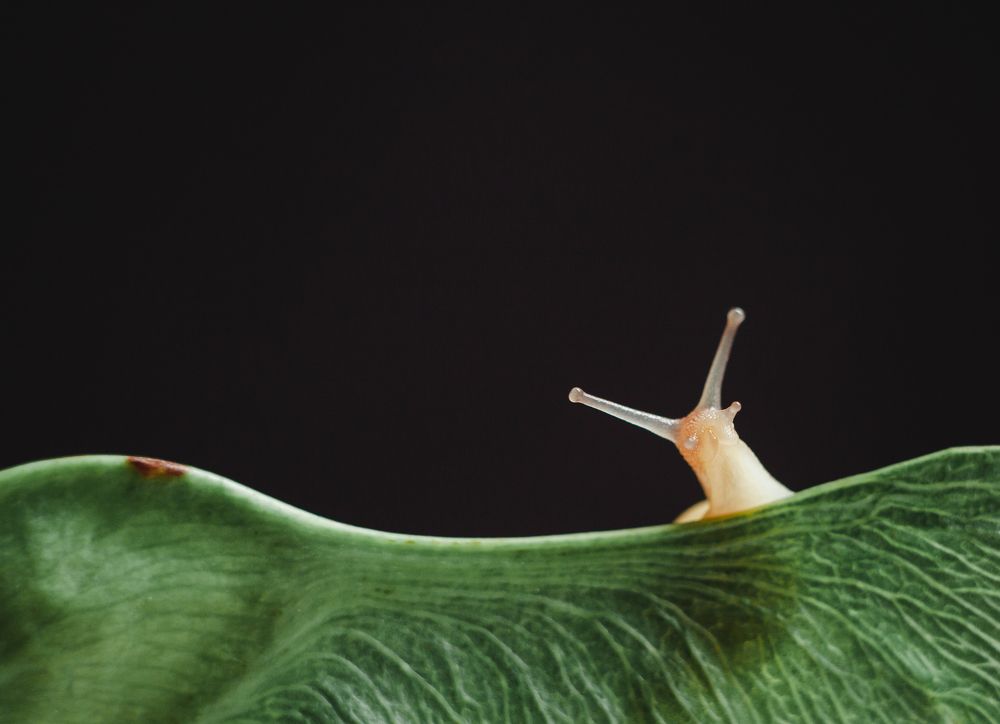 Фотография автора Дмитрий Гусалов