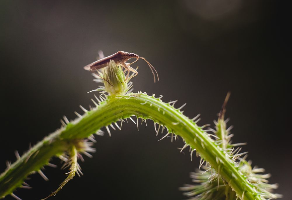 Фотография автора Дмитрий Гусалов