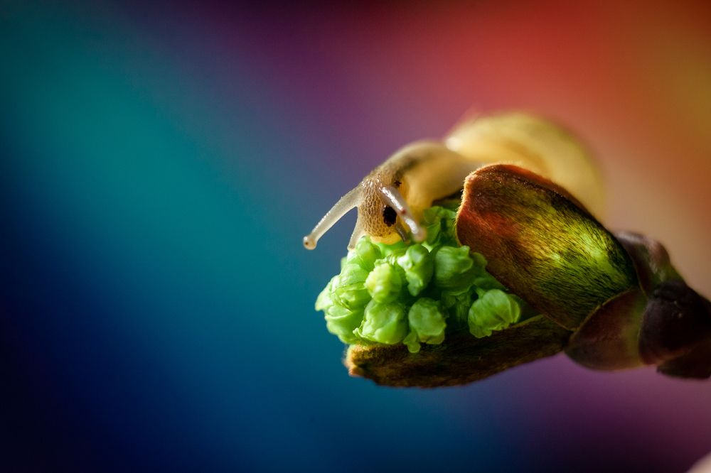 Фотография автора Дмитрий Гусалов