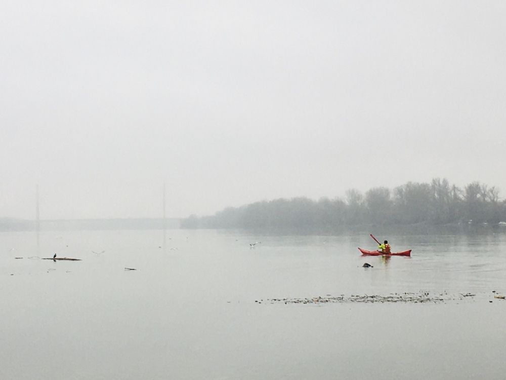 a bird, a bridge and a lonely one in the red boat