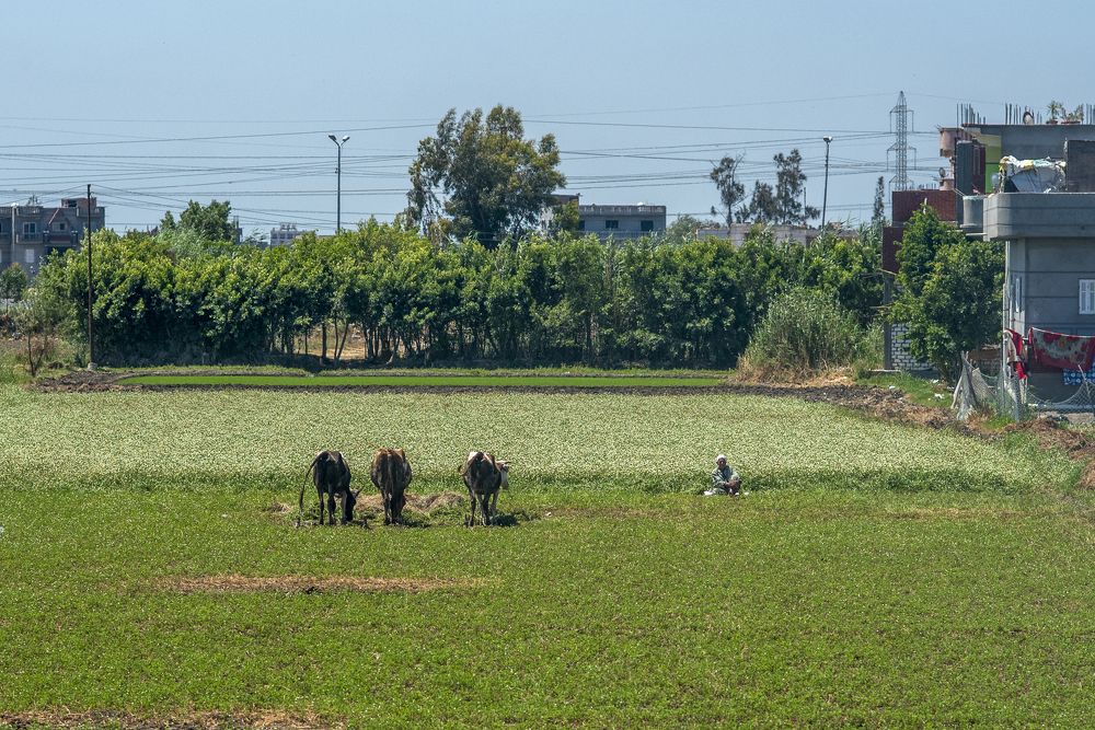 Photograph by Helmy Moataz