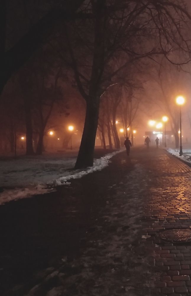 Зимний туман