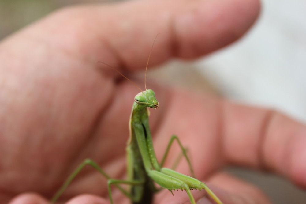 Photograph by Алексей Ролин