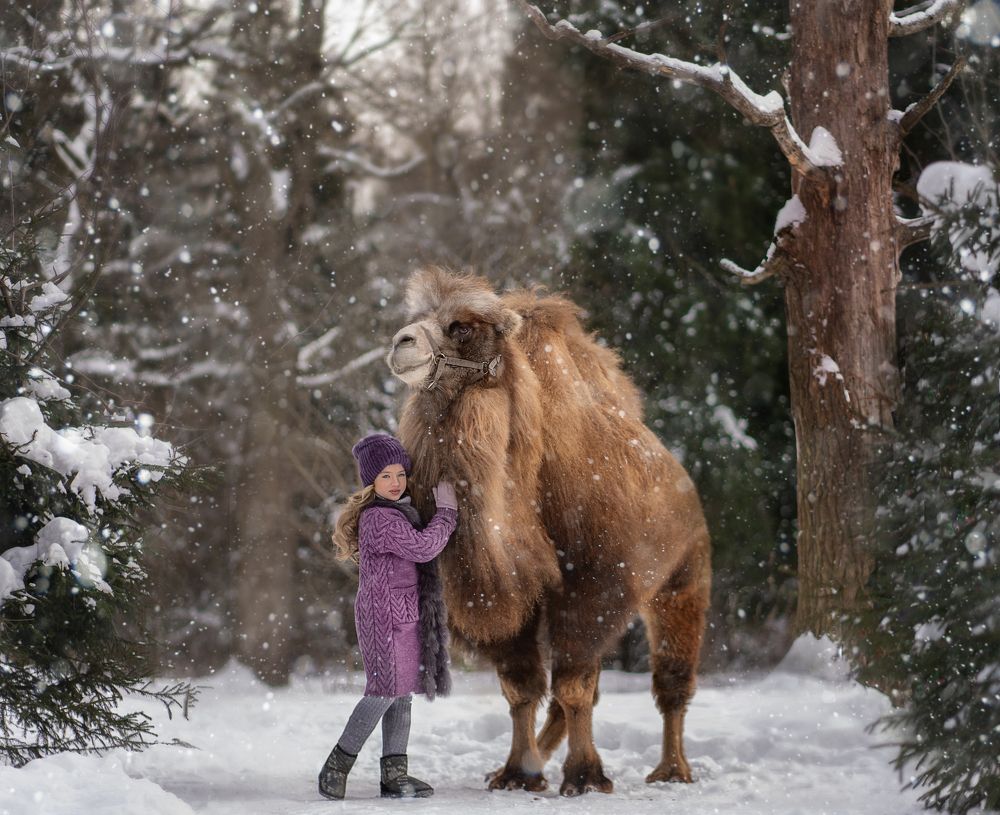 Photograph by Владимир Гордеев
