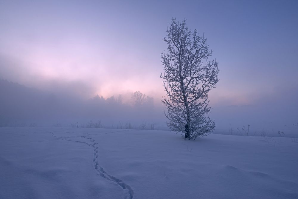 Твои изгибы...