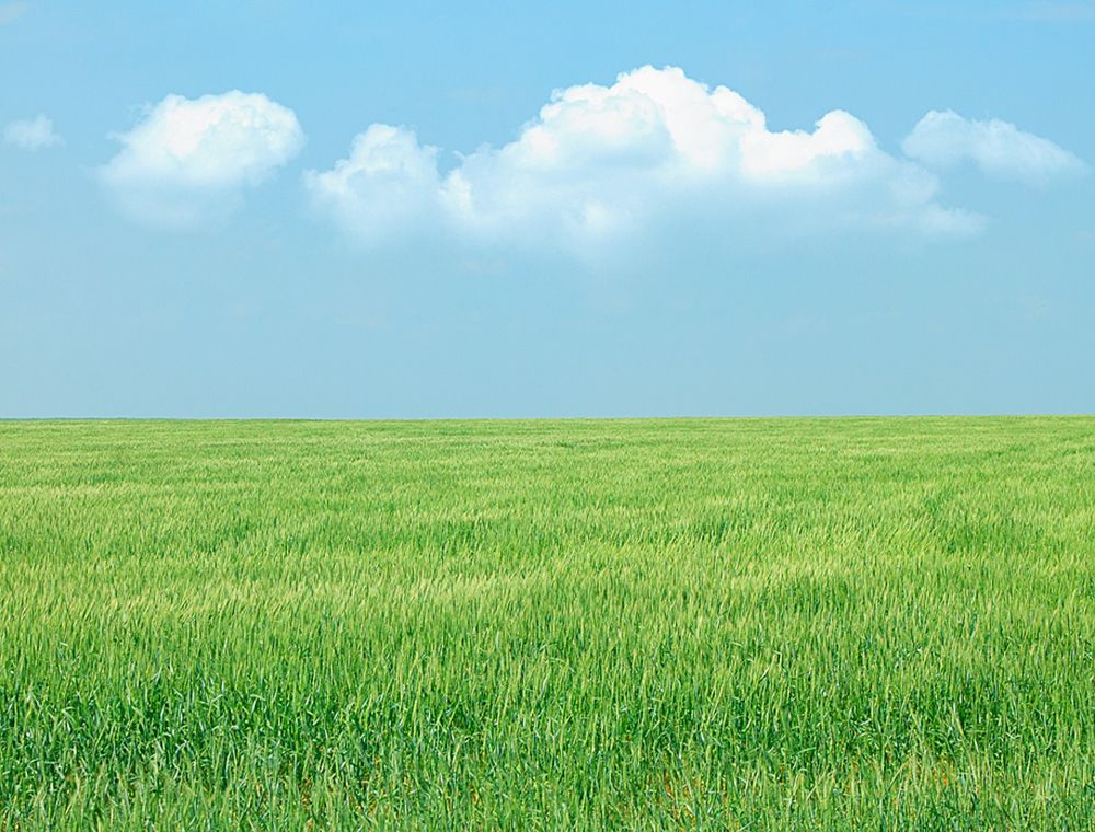 Photograph by Олег Белан