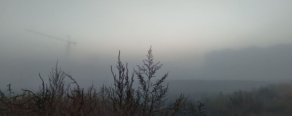 Photo #5799509