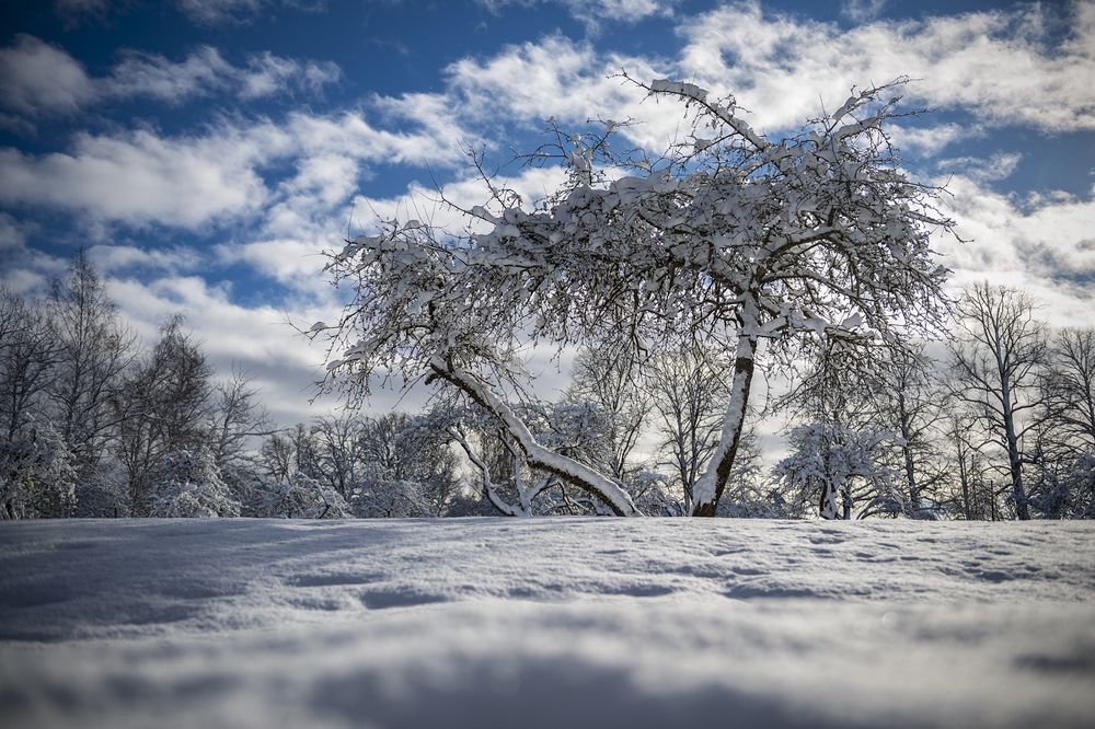 Photograph by Gatis Vilbrants